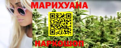 шишки Лесосибирск